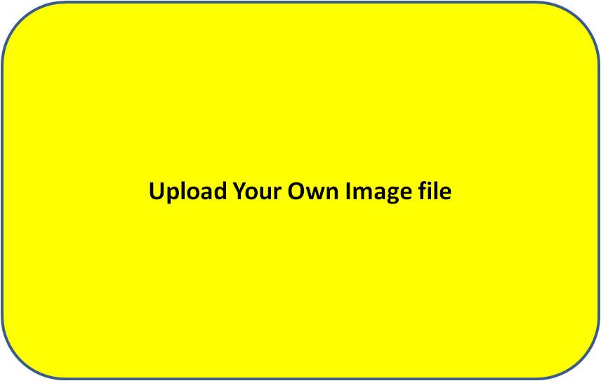 Upload Your Own Image